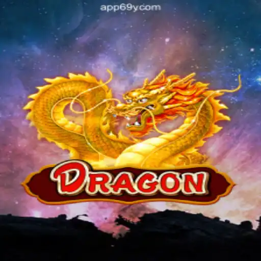 Exploring Dragon: An In-Depth Guide to 69Y.COM's Premier Slot Game